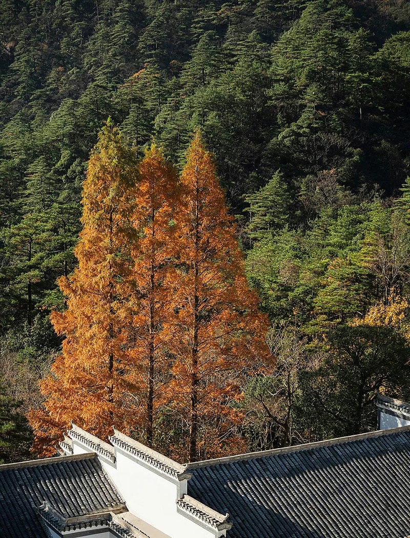 藝加酒店設(shè)計(jì)為您分享黃山·祥源云谷度假酒店設(shè)計(jì)觀點(diǎn)